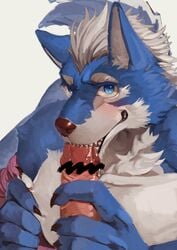 18plusplus 2017 blue_eyes blue_fur blush canine censored duo erection fellatio fur glans_biting humanoid_penis looking_at_viewer male male_only mammal oral penis penis_biting sex simple_background teeth white_fur wolf