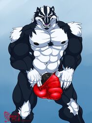 2019 5_fingers abs anthro badger barely_contained beard biceps big_muscles big_penis black_fur black_penis blue_background blue_eyes body_hair bulge chest_hair claws clothed clothing eyebrows facial_hair fur grin half-erect hand_on_thigh hi_res huge_cock humanoid_penis hungothenomster inviting looking_at_viewer male male_only mammal multicolored_fur multicolored_skin muscular muscular_male muscular_thighs mustelid nipples pecs penis penis_outline pink_nose sharp_teeth simple_background smile solo standing teasing teeth thick_penis tight_underwear topless two_tone_fur two_tone_skin white_fur white_skin