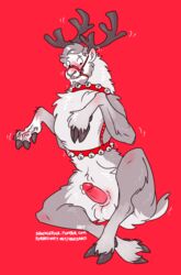 2017 antlers balls bell blush cervine collar feral fur hair hhazard hooves horn human human_to_feral humanoid_penis male male_only mammal muzzle_(object) nude penis precum red_background reindeer restricted_palette signature simple_background smile solo tail transformation url