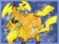 generation 9 pokemon from nintendo
