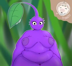 hocotatian from nintendo