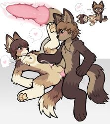 absurd_res anal anal_penetration animal_genitalia anthro anthro_on_anthro anthro_penetrated anthro_penetrating balls big_penis blush bodily_fluids brown_body brown_fur brown_hair canid canine canis cum cum_in_ass cum_inside duo ejaculation erection felid feline fur genital_fluids genitals hair hi_res humping jewelry knot knotted_penis knotting lying male male/male mammal necklace on_back pawpads paws penetration penis pink_penis pooltoyed sheath simple_background small_penis spread_legs spreading stuck stuck_together sweat sweatdrop thrusting white_background wolf
