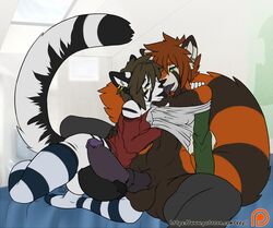 2018 anthro ear_piercing earrings elias_yamamoto feline frottage fur furry furry_only glasses hoodie huge_cock kissing male male_only melchior_leonall multiple_males penis piercing red_panda shirt shirt_lift stockings thighhighs tiger tongue_out veyll white_tiger yaoi