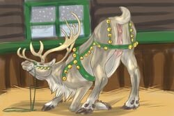 2017 animal_genitalia animal_pussy antlers anus ass_up bell cervine cervine_pussy crotchboobs female feral harness hooves horn looking_at_viewer looking_back mammal presenting presenting_pussy presenting_teats pussy pyramidheadapproves reindeer solo stable