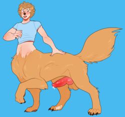 2017 animal_genitalia animal_humanoid animal_penis balls blue_background blush brown_eyes brown_fur brown_hair canine canine_penis canine_taur clothed clothing curly_hair dog_humanoid erection fur hair hhazard humanoid knot male male_only mammal open_mouth partially_clothed penis pink_penis post_transformation precum raised_leg sheath shirt signature simple_background solo taur tongue tongue_out