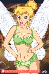 tinker bell from disney by chancero