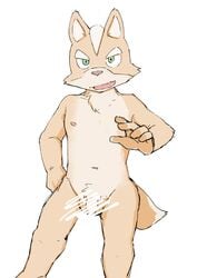 anthro balls canine censored fox fox_mccloud looking_at_viewer male male_only mammal navel nintendo nude penis shinki_k simple_background solo star_fox video_games white_background