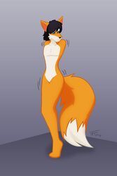 2014 amputee armless black_hair black_nose blue_eyes blush canine dipstick_tail featureless_crotch fluffy fluffy_tail fox fur fused grey_background hair inside jasentamiia long_tail male mammal motion_lines multicolored_fur multicolored_tail orange_fur orange_tail renee_(jasen_tamiia) signature simple_background snout solo two_tone_fur two_tone_tail white_fur white_tail