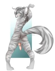 animal_genitalia animal_penis anthro ass balls canine_penis digital_media_(artwork) erection feline feline fluffy fluffy_tail girly knot male mammal nude penis simple_background smile solo stripes theredghost troy_lesage