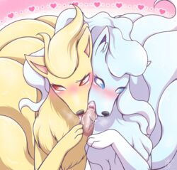 1boy alolan_ninetales ambiguous_gender blue_eyes blue_fur blush breath collaborative_fellatio disembodied_penis eyelashes fellatio fellatio_from_feral feral fur furry girly heart human human_on_feral interspecies kiriya licking looking_away male male_human/female_feral male_on_feral male_pov mammal multi_tail ninetales nintendo oral paws penis pink_background pokémon_(species) poképhilia pokemon pokemon_sm pov red_eyes tail tan_fur text threesome tongue tongue_out veiny_penis video_games yellow_fur zoophilia