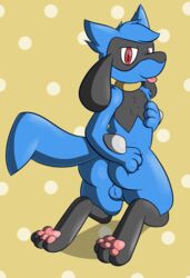 ass backsack balls fur furry furry_only gay looking_back male male_only nintendo pawpads paws pokémon_(species) pokemon presenting presenting_hindquarters riolu rvlis solo video_games yaoi