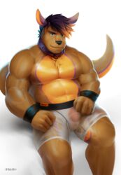 2017 5_fingers abs anthro biceps big_tail blue_eyes blue_hair body_hair bracelet brown_eyes brown_nose brown_skin brown_tail bulge chest_hair chest_tuft clothed clothing collar drake26 eyebrows front_view hair hi_res humanoid_hands jewelry kangaroo looking_at_viewer male male_only mammal marsupial multicolored_hair multicolored_skin multicolored_tail muscular muscular_male orange_penis orange_skin orange_tail partially_clothed pecs penis purple_skin purple_tail quads simple_background sitting solo spread_legs spreading takahirosi thick_tail thick_thighs tight_clothing translucent transparent_clothing tuft two_tone_hair underwear vein veiny_muscles white_background