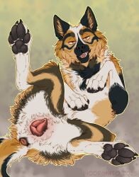 kiba wolfdog fan art