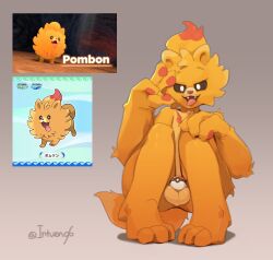 anthro balls canid canine canis chastity_cage chastity_device domestic_dog femboy fur game_freak generation_10_pokemon genitals gesture hand_gesture hi_res intven96 lockball looking_at_viewer male mammal nintendo orange_body orange_fur pokeball pokemon pokemon_(species) pokemon_ww pombon pomeranian pomken skinny solo spitz tail tongue tongue_out v_sign