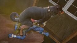 2025 3d_(artwork) absurd_res anthro anus black_body black_fur blender_(artwork) bloated blue_body blue_horn blue_nails blue_scales bodily_fluids bound brown_body brown_fur canid canine canis collar colored_nails cuff_(restraint) cum cum_drip cum_on_belly cum_on_body cum_on_face curled_tail digital_media_(artwork) domestic_dog dripping drooling duo ear_piercing feces feces_in_mouth feces_on_skin feces_pile female feral floppy_ears fur furniture genital_fluids genitals hi_res horn kenresek knot knotted_penis kobold male male/female mammal mastiff metal_cuffs molosser nails neck_cuff open_mouth paw_on_mouth penis piercing pooping_on_another restraints rottweiler saliva saliva_on_face scales scalie scat stretched_anus table tail tile tile_wall tongue wall_(structure) white_body white_scales window wood wood_furniture wood_table yellow_eyes