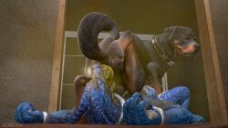2025 3d_(artwork) absurd_res anthro anus bite biting_lip black_body black_fur blender_(artwork) bloated blue_body blue_horn blue_nails blue_scales bodily_fluids bound brown_body brown_fur canid canine canis collar colored_nails cuff_(restraint) cum cum_drip cum_on_belly cum_on_body cum_on_face curled_tail digital_media_(artwork) domestic_dog dripping drooling duo ear_piercing feces feces_in_mouth feces_on_skin female feral floppy_ears fur furniture genital_fluids hi_res horn kenresek kobold looking_back male male/female mammal mastiff metal_cuffs molosser nails neck_cuff open_mouth paw_on_mouth piercing pooping_on_another restraints rottweiler saliva saliva_on_face scales scalie scat stretched_anus table tail tile tile_wall tongue wall_(structure) white_body white_scales window wood wood_furniture wood_table yellow_eyes