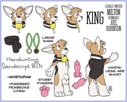 1boy anthro balls blue_eyes canine casual collar corgi edit english_text erection housepets! humanoid king_(housepets!) male male_only model_sheet nude penis rick_griffin scarf sheath solo standing text webcomic