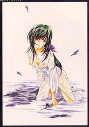 1girls artist_request black_hair breasts female human long_hair looking_at_viewer nipples pale-skinned_female pale_skin pointy_chin rurouni_kenshin shounen_jump solo tagme tomoe_yukishiro wet