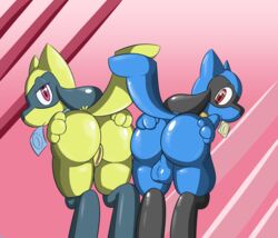 ass backsack balls condom fur furry furry_only gay hi_res looking_back male male_only nintendo no_humans pokémon_(species) pokemon presenting presenting_hindquarters pussy riolu rvlis solo video_games yaoi