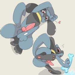 balls feet knot male male_only meatshaq nintendo penis pokémon_(species) pokemon riolu solo video_games