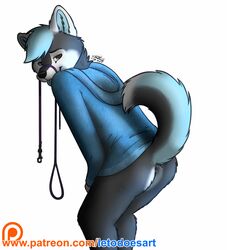 anthro anus ass blue_hair bottomless canine clothed clothing cute fur grey_fur hair hoodie husky lead leash letodoesart male male_only mammal presenting presenting_anus presenting_hindquarters raised_tail tongue tongue_out white_fur