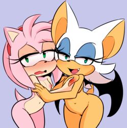 amy_rose breasts flattest hearlesssoul nipples rouge_the_bat sonic_(series) yuri