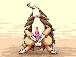 animal_genitalia balls cum digital_media_(artwork) erection feral flygon_(artist) male male_only nintendo open_mouth penis pixel_art pokémon_(species) pokemon pokemon_(species) sandslash solo video_games yaroul