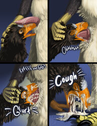 2018 ambiguous_gender animal_genitalia anthro asphyxiation avian beak beakjob bird choking cloaca coughing cum cum_from_nose cum_in_mouth cum_in_nose cum_puke cum_vomit deepthroat digital_media_(artwork) domination duo eagle english_text feathers feet fellatio furry highres male male/ambiguous moisteaglevent musk nude onomatepea oral penis philippine_eagle pirate_eagle precum pulling_hair sex sniffing tapering_penis text