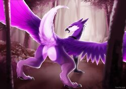 2018 anus arith_(arith_the_gryphon) arith_the_gryphon ass avian feathered_wings feathers feral forest fur gryphon looking_at_viewer looking_back male male_only outside purple_feathers purple_fur raised_tail rear_view solo tree twstacker wings