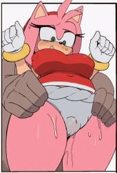 1boy amy_rose animated anthro arevix female_anthro green_eyes hereapathy human male_human/female_anthro nipples_visible_through_clothing penis precum sonic_(series) sonic_the_hedgehog_(series) sweat thigh_sex underwear