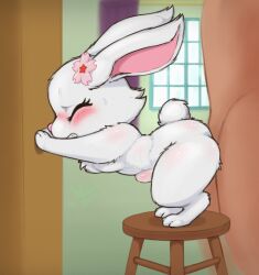blush feral flower_in_hair hands_on_wall human_on_feral rabbit size_difference standing stomach_bulge sweatdrop white_hair zoophilia