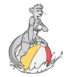 2023 4_fingers anthro ball_(object) beach_ball bottomless bottomless_anthro bottomless_male clothed clothed_anthro clothed_male clothing clothing_lift digital_drawing_(artwork) digital_media_(artwork) erection eyebrows fingers full-length_portrait fur genitals head_tuft helregin hi_res humanoid_genitalia humanoid_penis inflatable male male_anthro mammal mustelid open_mouth otter penis portrait shirt shirt_lift signature simple_background sitting_on_ball sitting_on_beach_ball snout solo splash splashing_water spot_color tail tank_top tank_top_lift teeth topwear tuft water water_splashes white_background