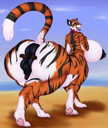 anus beach big_breasts breasts collar ear_piercing facial_piercing fangs felid furry hand_on_butt herm hi_res huge_breasts hyper hyper_anus intersex looking_back mammal nightmare-arts nose_piercing pantherine piercing seaside solo taur tiger tiger_taur