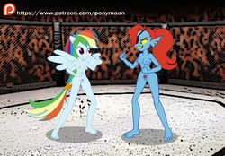 animal_humanoid cage_match catfight crossover duo female fight fighting fighting_ring fighting_stance friendship_is_magic humanoid my_little_pony ponymaan rainbow_dash_(mlp) smooth_skin undertale undyne video_games wings wrestling