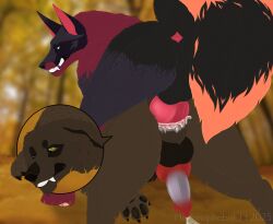 airfoxxx blood bodily_fluids canid canine canis close-up cum cum_in_ass cum_inside domestic_dog dominant dominant_male duo feral forced fox genital_fluids genitals hed_(hedonophobia_h) hedonophobia_h hi_res knot male male/male mammal rape sex snarling tears tears_of_pain