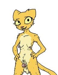 1futa balls breasts feline furry futanari grotesque intersex katia_managan khajiit mammal penis prequel scruffy solo std the_elder_scrolls video_games warts