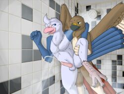 anal avian bath bathing bird blitz cum feathers hawk male penetration penis pigeon rattra sex shower standing steam svi talons tapering_penis water wings yaoi