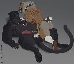 2018 4_toes 5_fingers anthro anthro_on_anthro areola arm_support ass balls barefoot bear biceps big_balls black_fur black_nose black_penis black_tail blue_eyes boo_babes bracelet breasts brown_fur brown_nose brown_tail claws collar domination duo erection explicital eye_contact feline female femdom fluffy fluffy_tail front_view fur fur_tuft gage_the_panther grey_background grey_claws hand_on_penis hand_on_shoulder harness highres hindpaw huge_balls humanoid_penis hybrid hyena imminent_sex jewelry looking_at_another looking_at_partner looking_down looking_up lying male mammal multicolored_fur multicolored_penis multicolored_tail muscular muscular_female muscular_male navel nipples nude on_back on_top open_mouth orange_fur panther paws pecs penis pink_nipples pink_penis pink_tongue precum pussy pussy_juice pussy_juice_on_leg sharp_claws sharp_teeth simple_background size_difference small_dom_big_sub spiked_collar spikes spots spread_legs spreading straight submissive submissive_female teeth thick_thighs toes tongue triceps tuft two_tone_penis vein veiny_penis whiskers white_fur white_tail