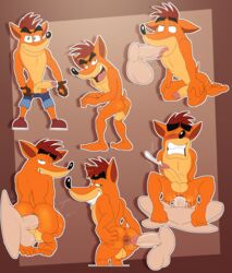 crash bandicoot from crash (series) by jerseydevil