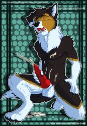 animal_genitalia anthro balls canine collie cum cum_on_self cumshot ejaculation male male_only mammal masturbation mrchocolate nude orgasm penis rorick_kintana rough_collie solo