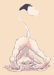 luck (animancer) fan art
