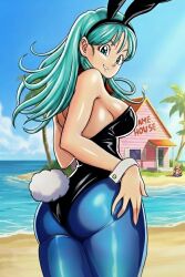bulma briefs from dragon ball