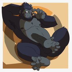 ape armpit_hair balls barefoot blush boner erection eyewear glasses gorilla male male_only mammal nude overwatch penis primate solo solo_male thegreatmatsutzu video_games winston_(overwatch)