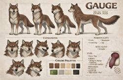 ai_generated balls big_balls big_penis brown_fur canid canine canine_penis canis cum_dripping_from_penis feral green_eyes knot knotted_penis male model_sheet penis smirk solo two-tone_fur wolf