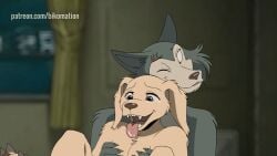 16:9 2026 2boys 2d 2d_(artwork) 2d_animation 2d_artwork 5_fingers animated animation anthro anthro_on_anthro anthro_penetrated anthro_penetrating anthro_penetrating_anthro barefoot beastars better_version_at_source big_eyes bikomation bird_dog bodily_fluids body_grab body_hair bouncing_ears breath brown_nose canid canine canis cheek_tuft claws close-up close_up closeup detailed_background digital_media digital_media_(artwork) domestic_dog duo embrace excited excited_for_sex eyebrows eyes_wide_open face_to_face facial_expressions facial_scar facial_tuft feet floppy_ears fluffy fluffy_ears fluffy_hair foot_fetish frame_by_frame friends from_back from_behind fur furry good_boy grey_body grey_fur hand_on_chest happy happy_face happy_male happy_sex happy_tears head_to_head hug hugging hugging_from_behind hunting_dog interspecies jack_(beastars) labrador legoshi_(beastars) legs legs_up long_tongue looking_pleasured love lovers male male/male male_only male_penetrated male_penetrating male_penetrating_male mammal multicolored_body multicolored_fur naked naked_male narrowed_eyes netflix nude nude_male on_another one_eye_closed open_mouth pawpads paws penetrated penetrating penetrating_pov penetration pleasure pleasured pleasured_face retriever scar scar_on_face sex short_playtime spread_legs spreading tan_body tan_fur tear tears toe_claws toes tongue tongue_out wet widescreen wolf yellow_body yellow_fur
