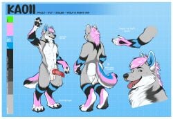 animal_genitalia animal_penis anthro border canid canine canine_genitalia canine_penis canis erection fur genitals hi_res hybrid imkaoii knot knotted_penis male mammal model_sheet multicolored_body multicolored_fur penis solo themutt white_border wolf-husky wolfdog