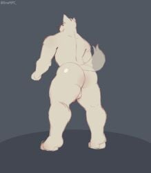 animated anthro anus anus_focus ass balls big_butt butt_focus canid canine crouching feet genitals male mammal muscular muscular_anthro muscular_male nude penis rear_view simple_background snaftfc solo squats white_body