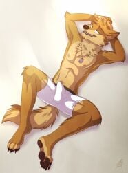 4_toes anthro arany arm_tuft athletic athletic_anthro athletic_male bed bedroom_eyes black_lips boxers_(clothing) brown_body brown_fur brown_nose brown_pawpads canid canine canis cel_shading cheek_tuft chest_tuft chin_tuft claws clothed clothing digital_drawing_(artwork) digital_media_(artwork) dog_tags elbow_tuft erection erection_in_underwear facial_tuft feet fingers fluffy fluffy_tail fur furniture gothwolf green_eyes half-closed_eyes hands_behind_head head_tuft hi_res invitibg lips lying male mammal narrowed_eyes neck_tuft nipples on_back on_bed open_mouth pawpads paws pink_nipples plantigrade presenting seductive shaded simple_background smile solo spread_legs spreading tail tan_body tan_fur teeth toe_claws toes tongue tuft underwear underwear_only warm_colors whisker_spots wolf