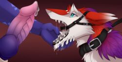 anthro azaly balls bondage bound braided_hair cum digital_media_(artwork) dragon duo erection fur gag girly hair hi_res long_hair long_tail male mammal open_mouth open_mouth_gag penis purple_hair re-re red_fur ring_gag sergal simple_background white_fur yaoi zetsin