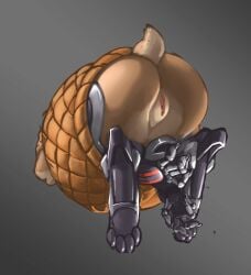 absurd_res anthro basket big_butt brown_body brown_fur butt container cybernetic_arm cybernetic_leg cybernetic_limb cybernetics cyborg feet female female_only fur genitals grey_background hi_res lagomorph leporid machine mammal mihoyo mootsider rabbit rear_view simple_background solo stuck tan_body tan_fur thick_thighs vulva wide_hips zenless_zone_zero
